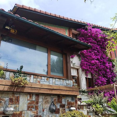 Kostanalu Rooms Plentzia Kültér fotó